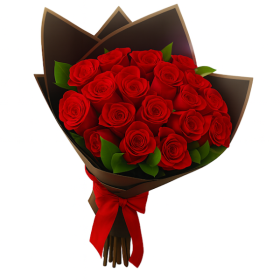 All Star Print Ox Converse